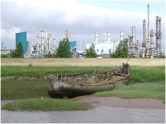 Hedon Haven Restoration Project