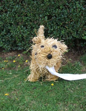 scarecrow dog
