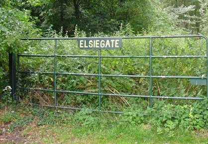 elsie gate 001