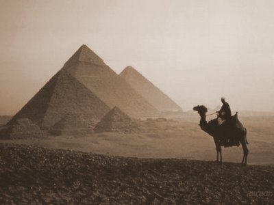 pyramids giza camel