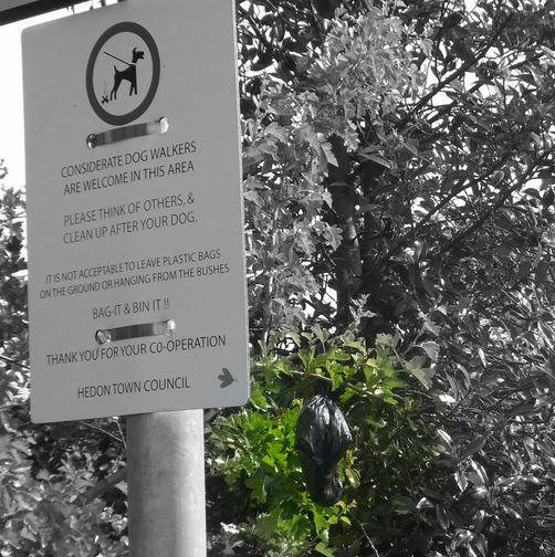 dog poo bag hung in tree