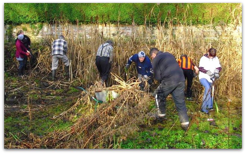 pond volunteers january 2012