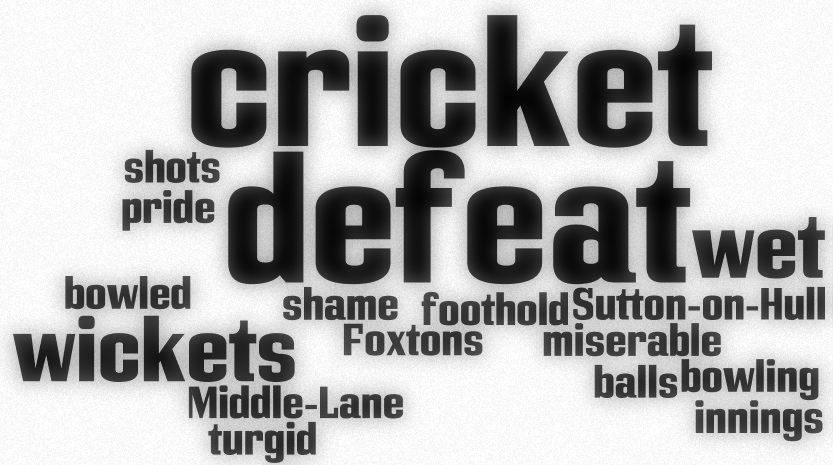 cricket wordle defeat