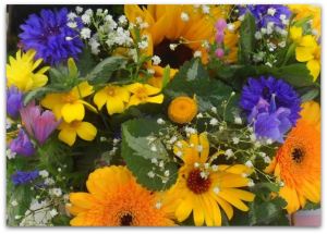 Flower Arranging Club at Magdalen Park Hedon Blog