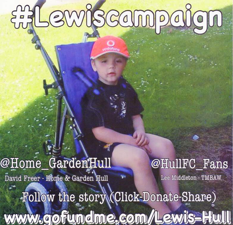 lewiscampaign poster001