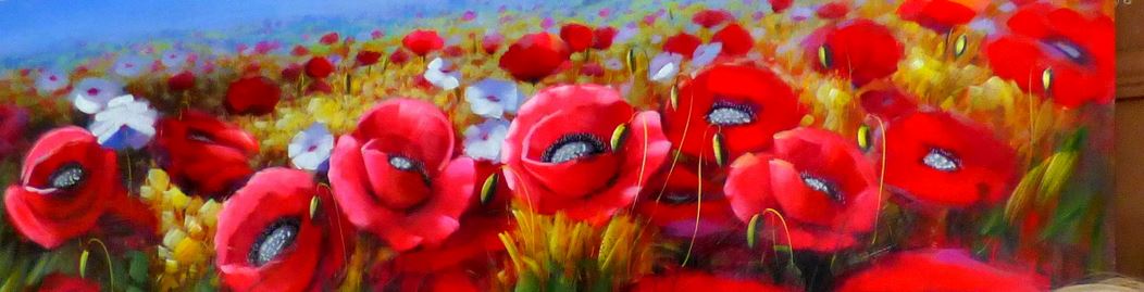 poppies at ww1 exhibition 2014