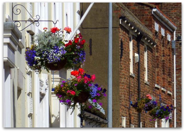 hanging baskets hedon 1