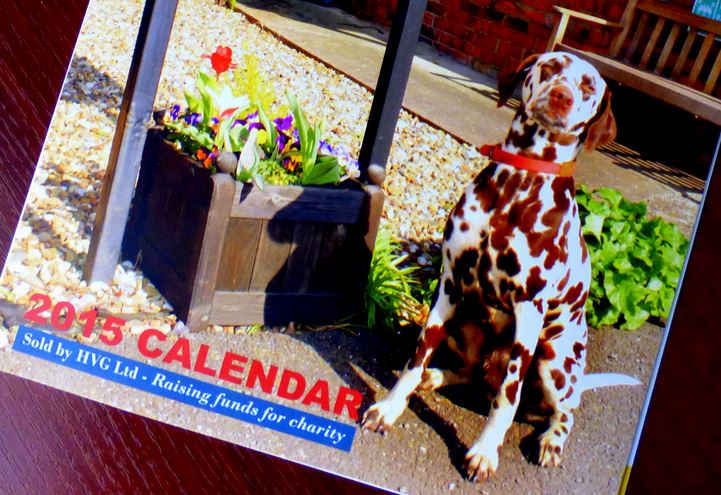 pets calendar 2015 snip