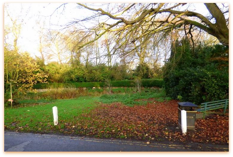 horsewell pond site nov 2014