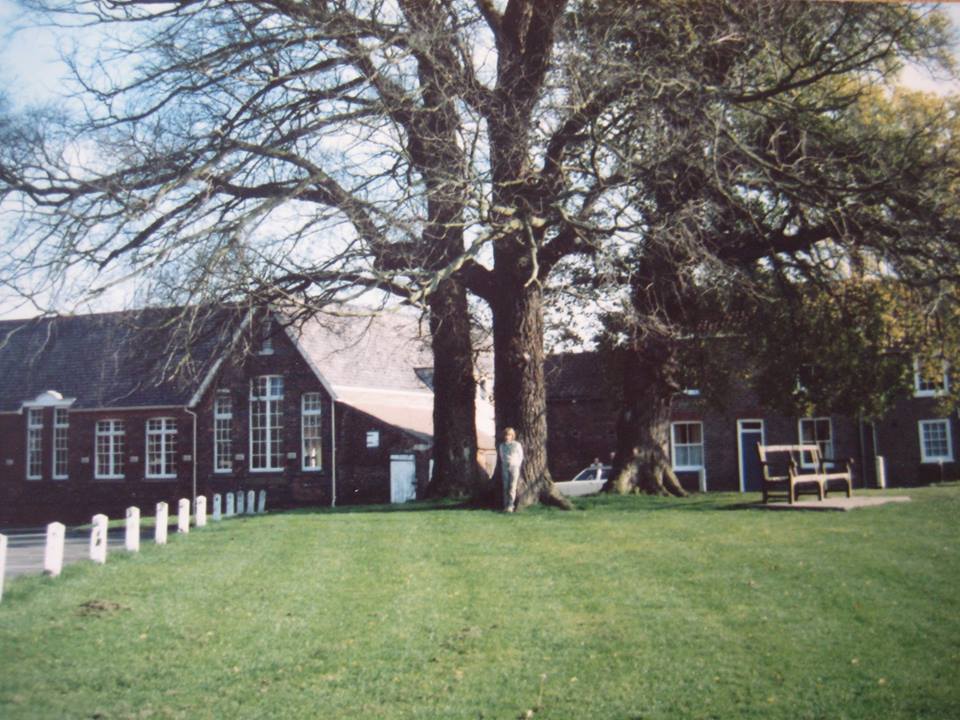 janet smith elm trees