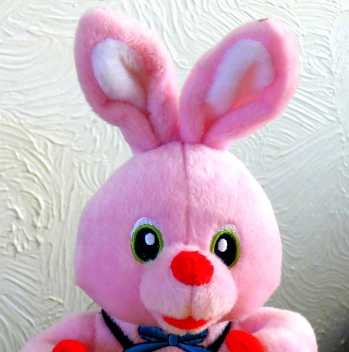 blogging bunny rabbit