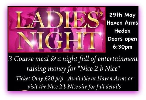 ladies night poster1