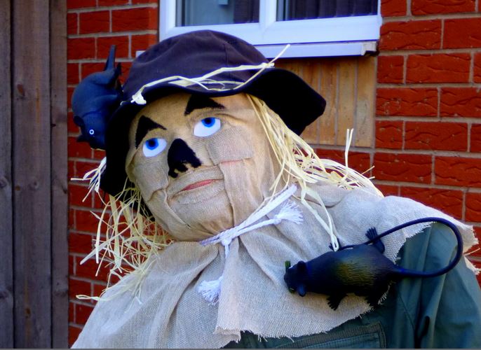 scarecrow from oz cu