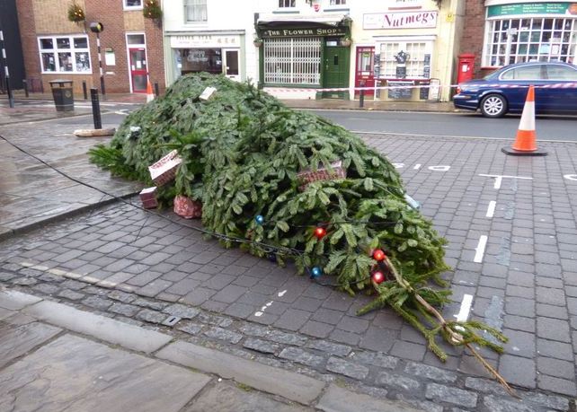 christmas tree fallen over