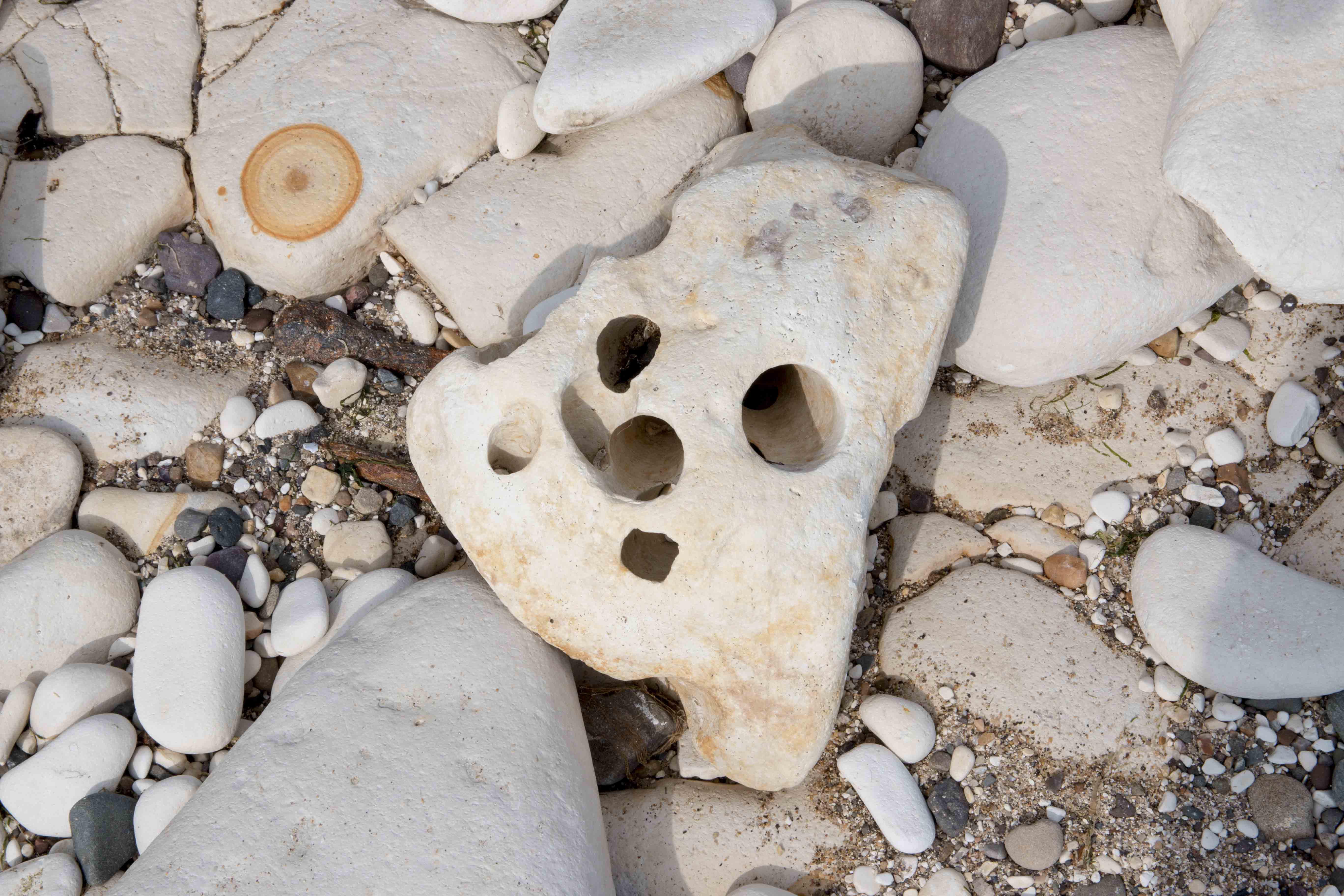 stoney face stone popeye snip