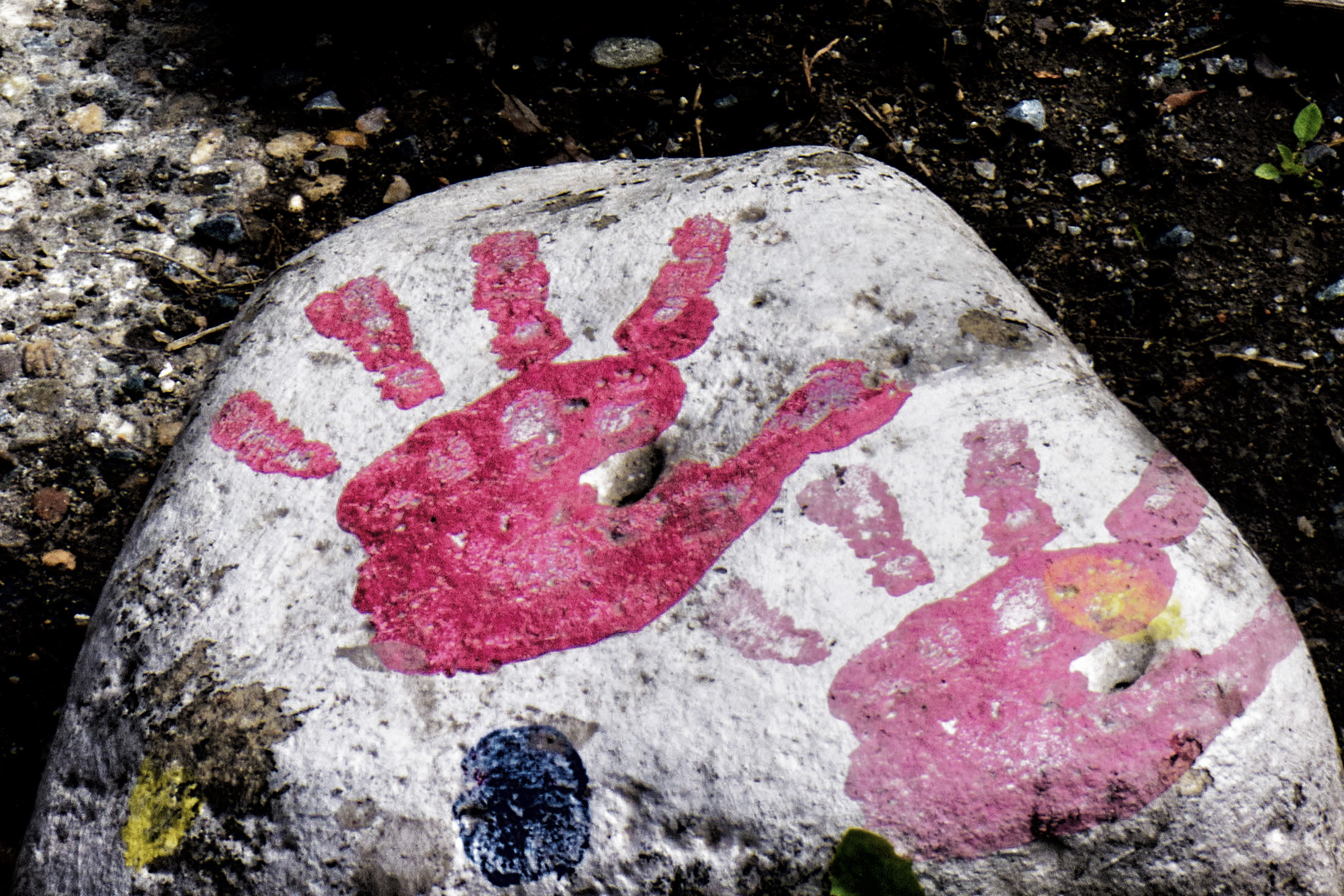 rock steady helping hands