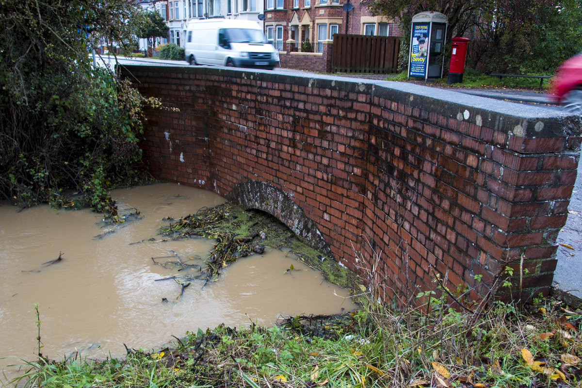flood levels bridge