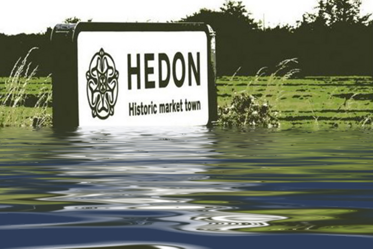 hedon climate emergency image