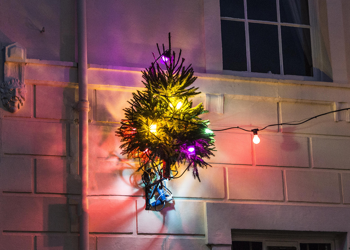 Small Christmas Tree Town Hall web