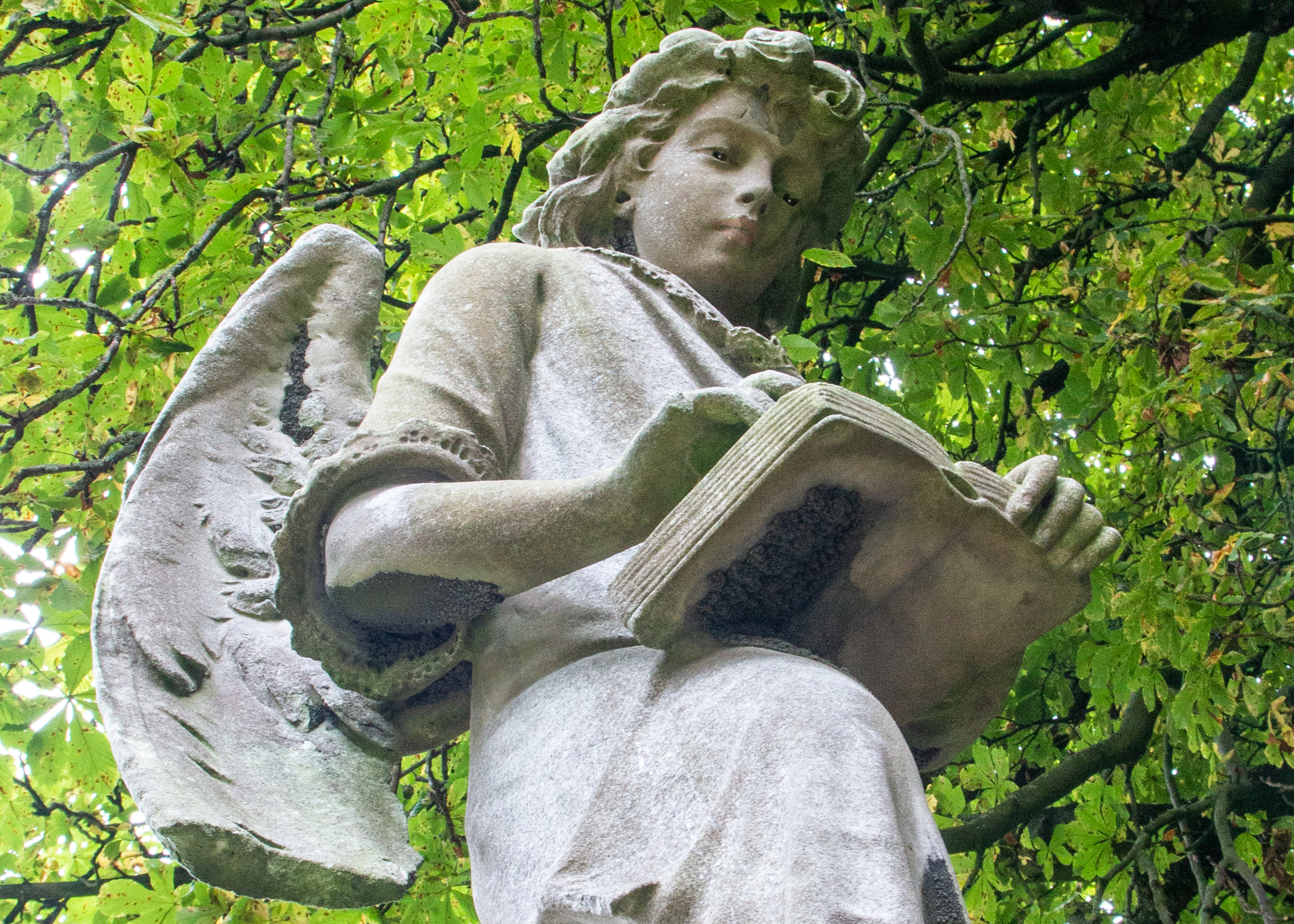 Angel statue