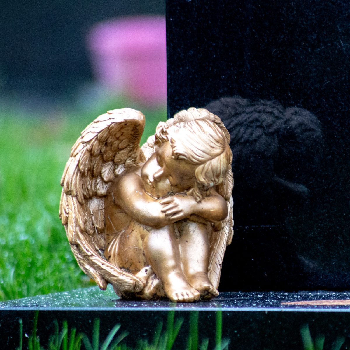 Golden Angel 1 e1669871834792