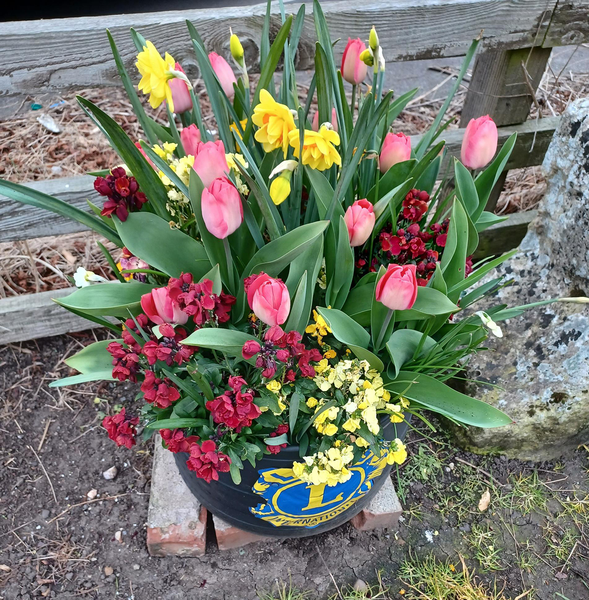 Holderness Lions Spring Display by Janet Bucknall Photo of the Day 4