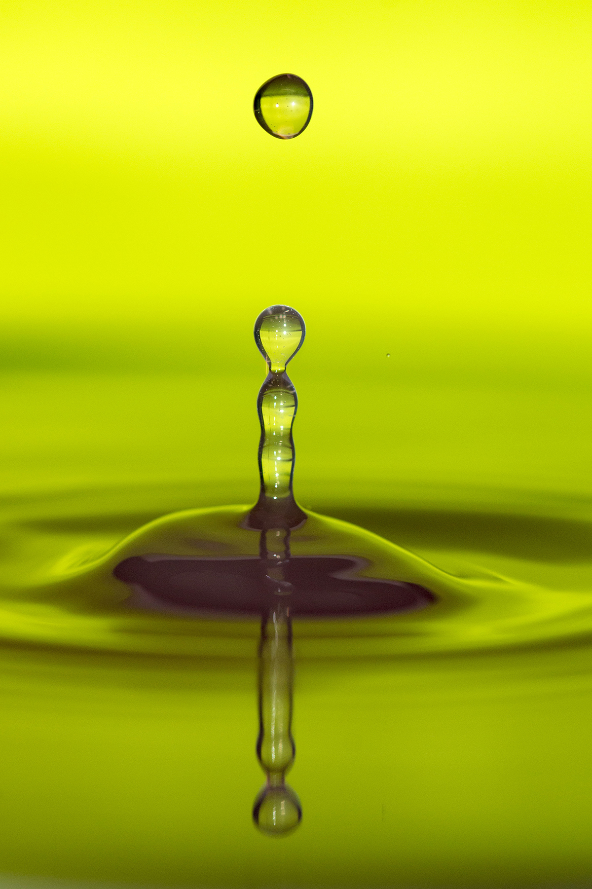 A Photo of The Day that shows a splash in water with lit green background.