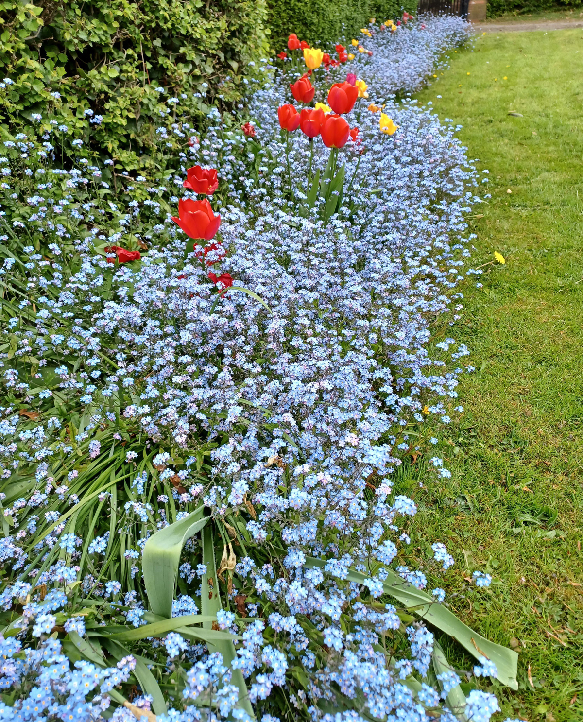 Photo of the Day 39 Janet Bucknall