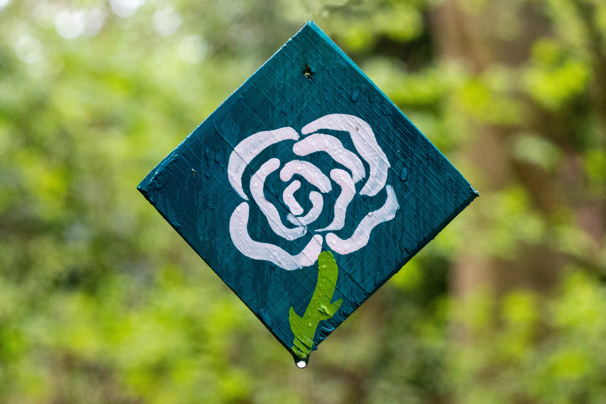 Photo of the Day 43 Rose drop wooden diamond