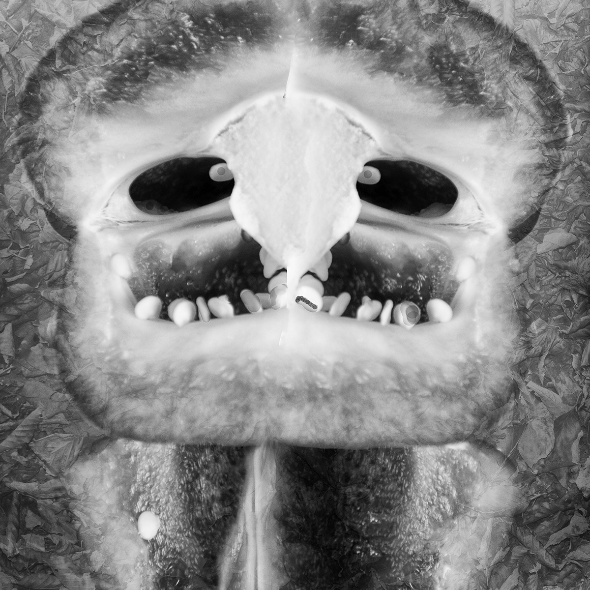 Photo of the Day 53 Pepper Predator bw