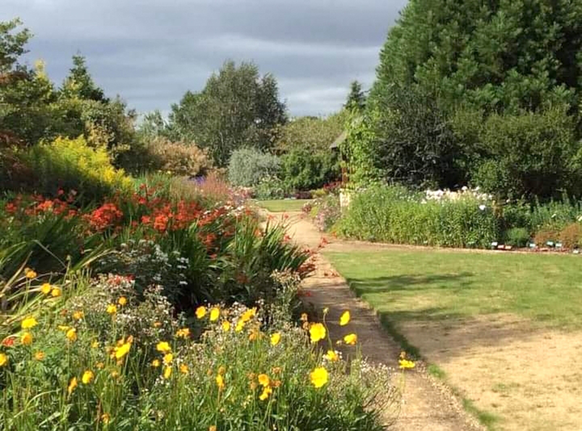 Brenda Garden shot Jigsaw