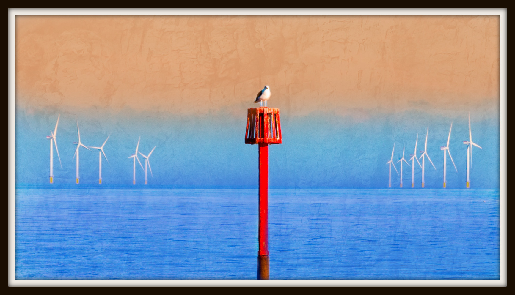 Seagull and windturbines painted photoshop
