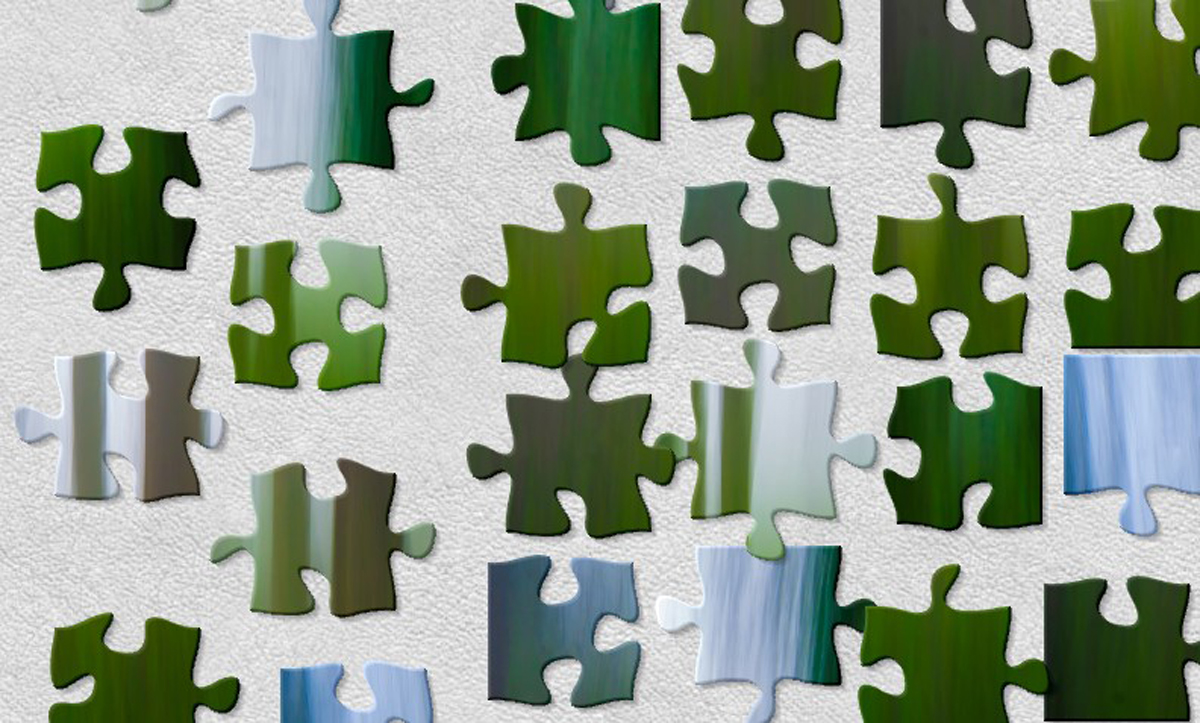 Jigsaw pieces