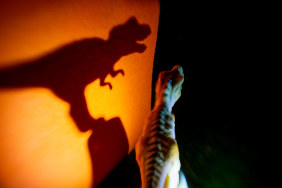 T Rex and Shadow