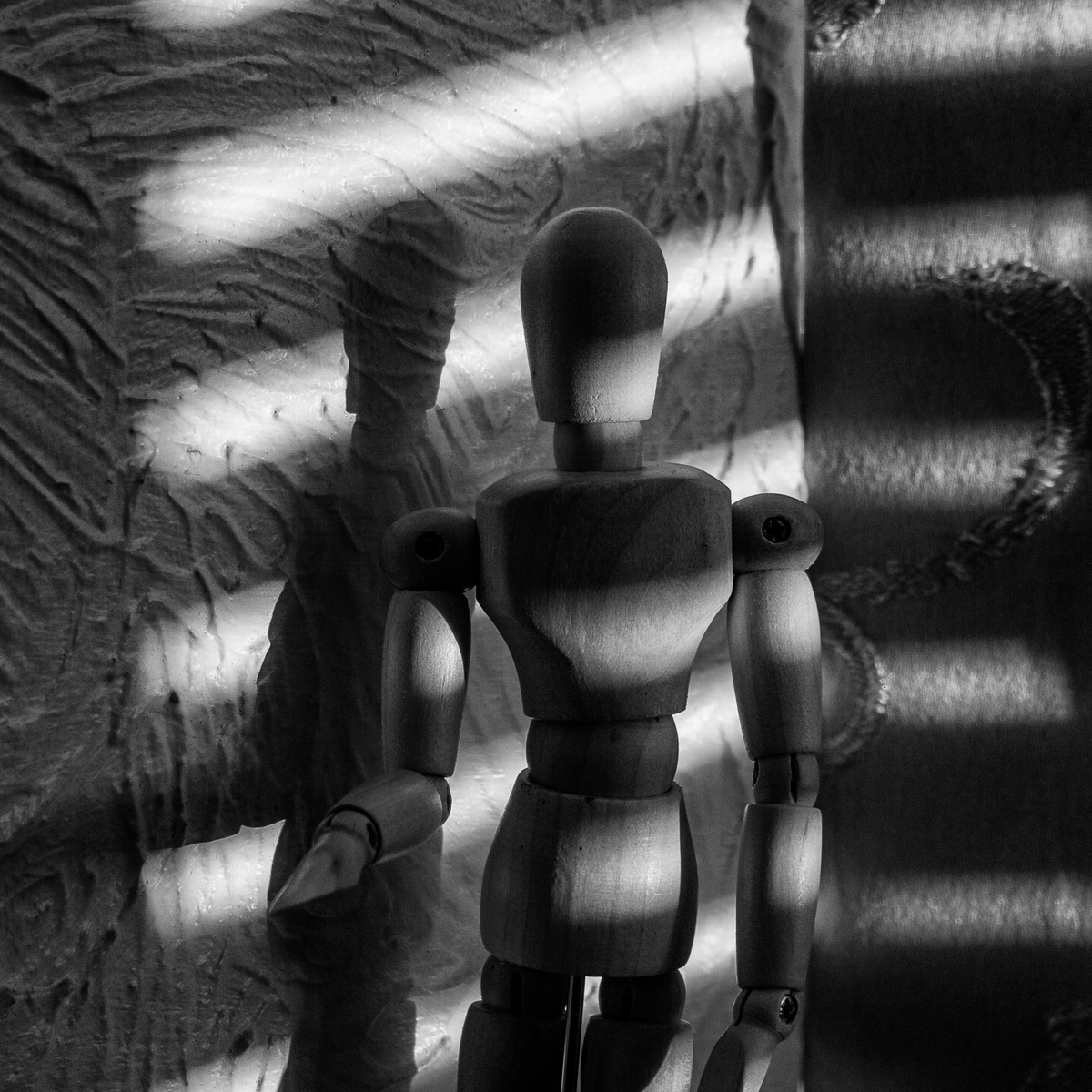 Eddie lit through blinds bw