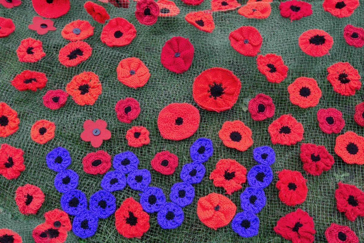 Blue WI amongst the red poppies