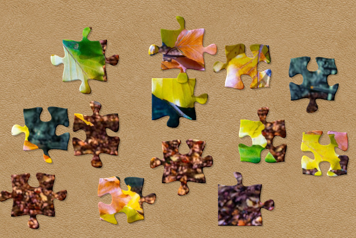 Jigsaw pieces autumn leaves