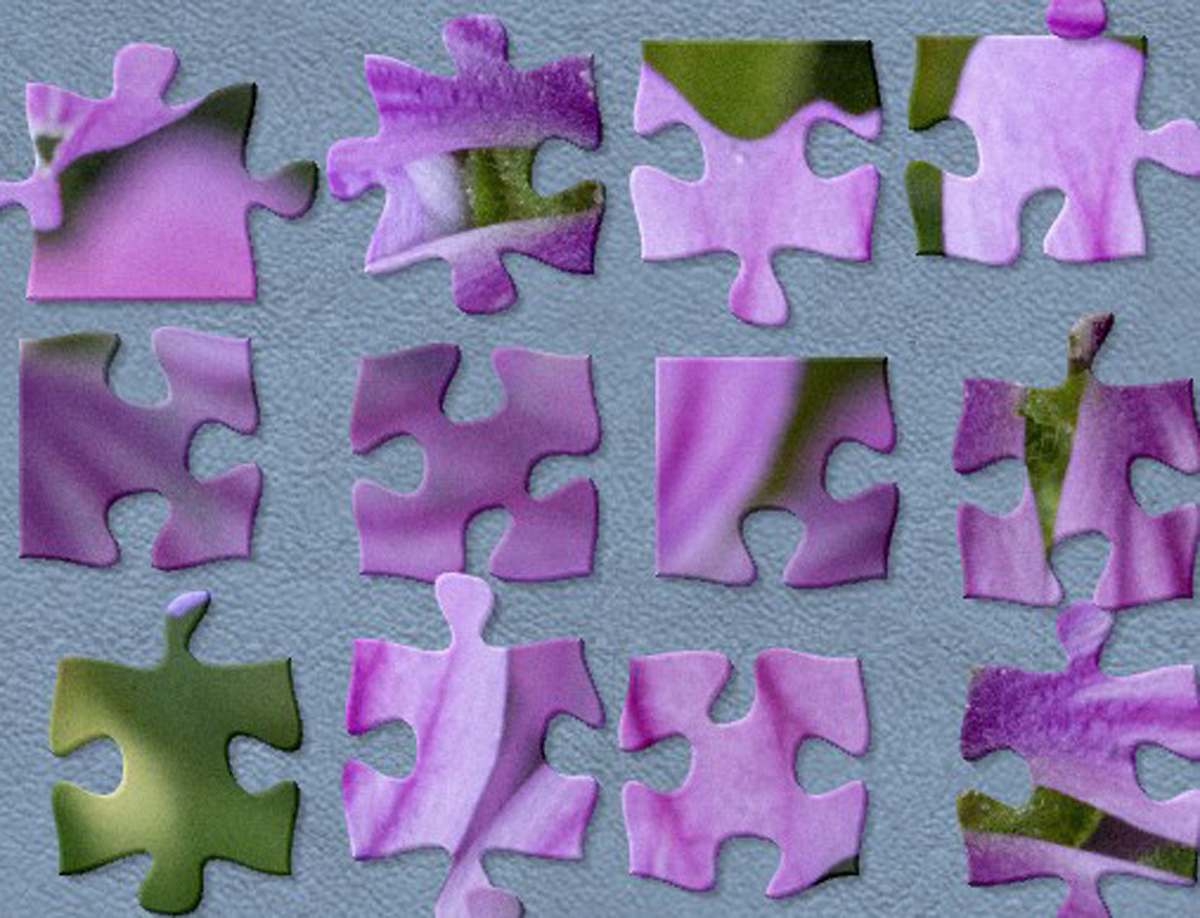 Sunday Jigsaw Flower Pieces