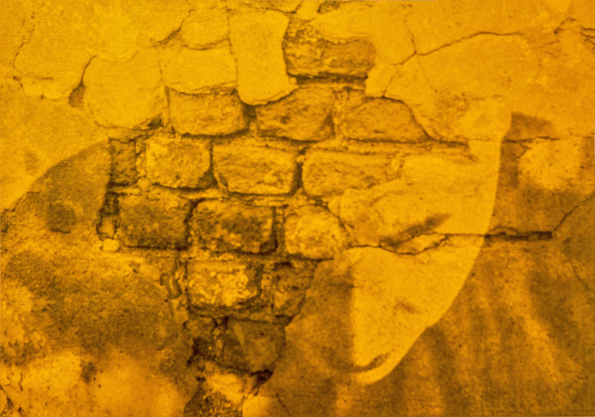 Picture shows a woman looking downwards her face embedded graffiti-style in the wall