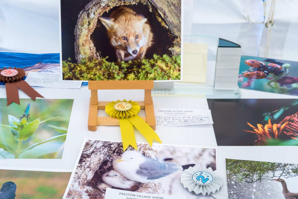 Open Photography Competition Wildlife winners 2025