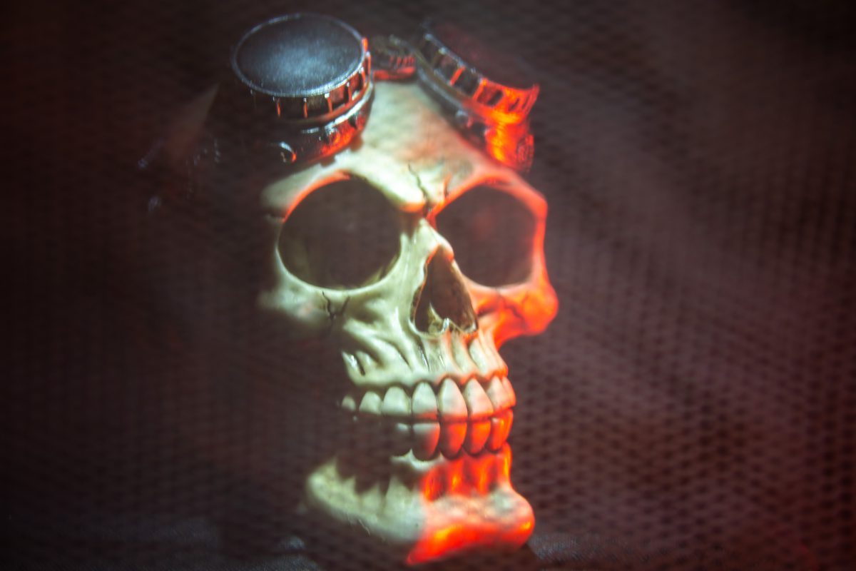 Steampunk skull through netting