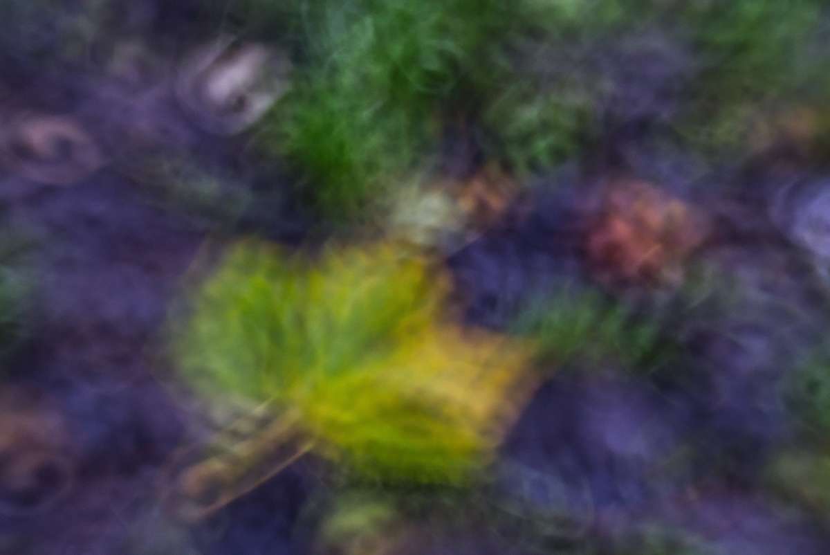 Leaves Autumn Double Glass II jigsaw