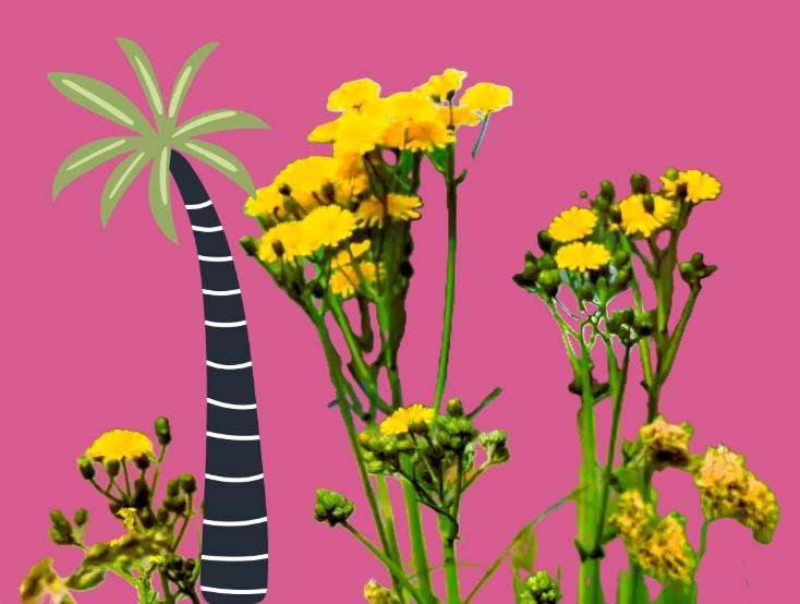 Janet Bucknall Photo for editing 4 1200x900