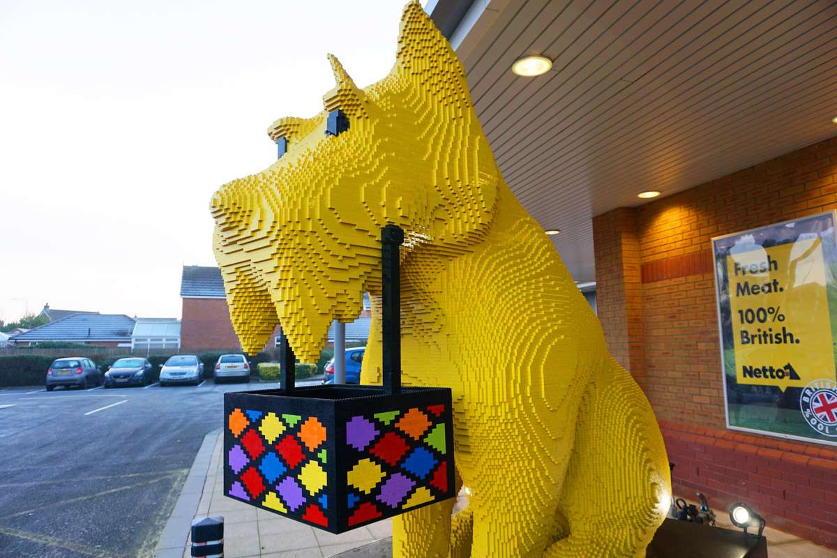 Scotty Netto yellow bricks dog