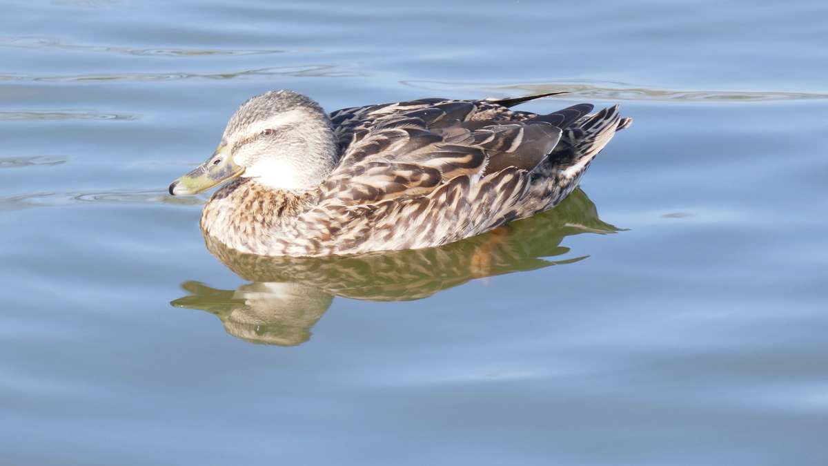 52-Week Photography Challenge Gallery 2026