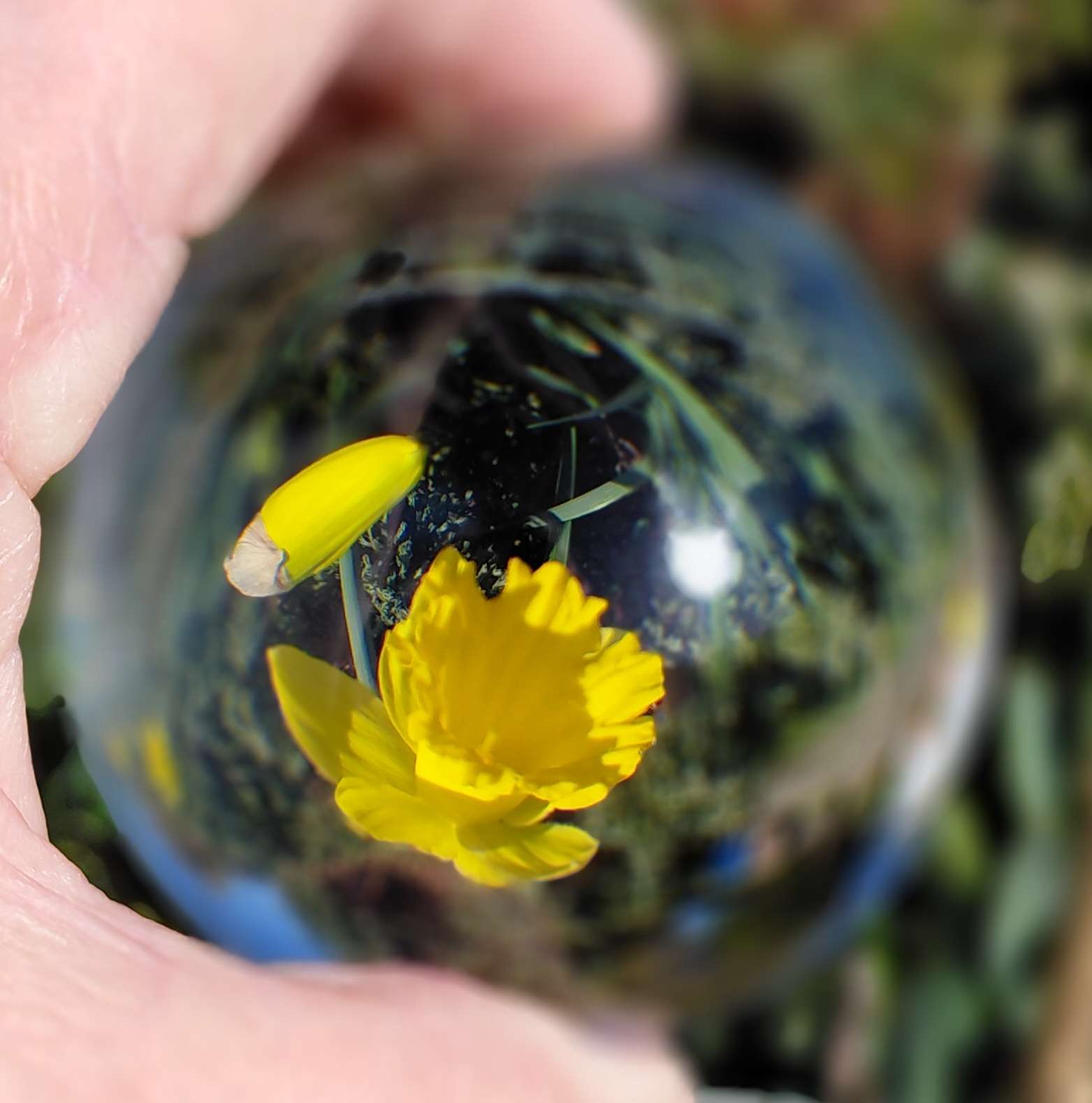 52-Week Photography Challenge Gallery 2026