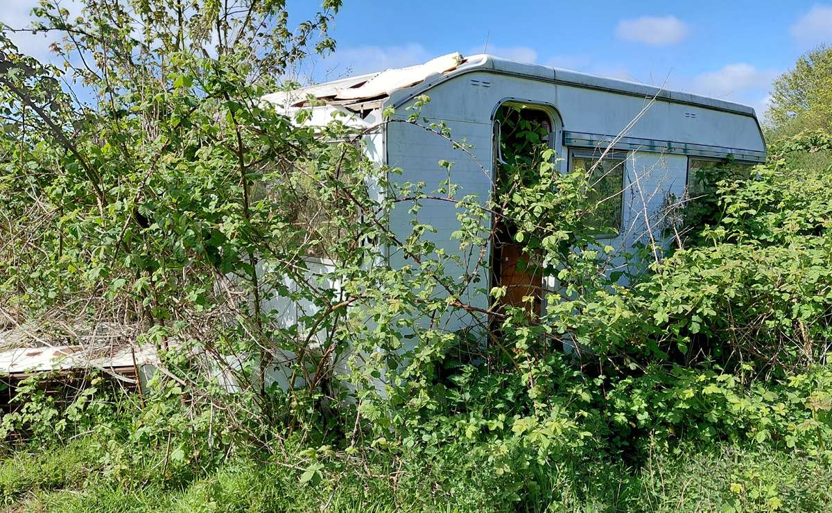 52-Week Photography Challenge Gallery 2026