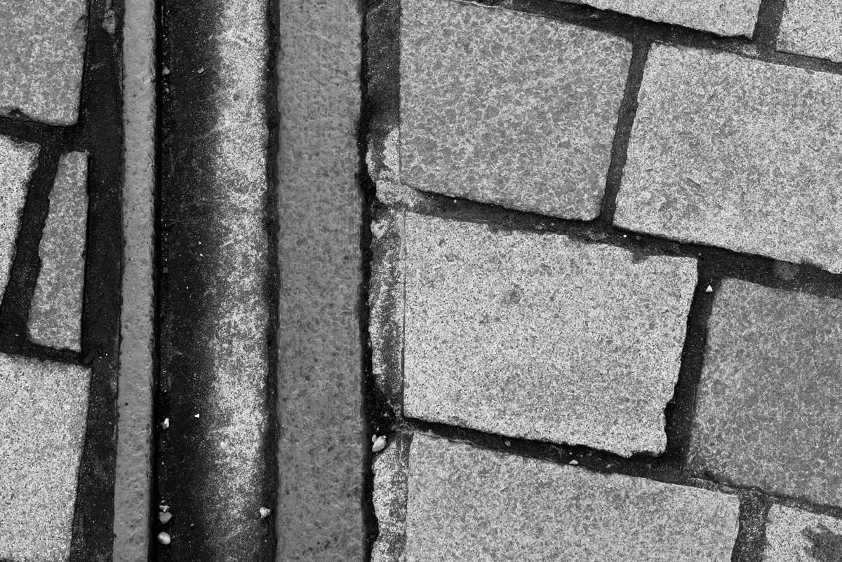 52-Week Photography Challenge Gallery 2026