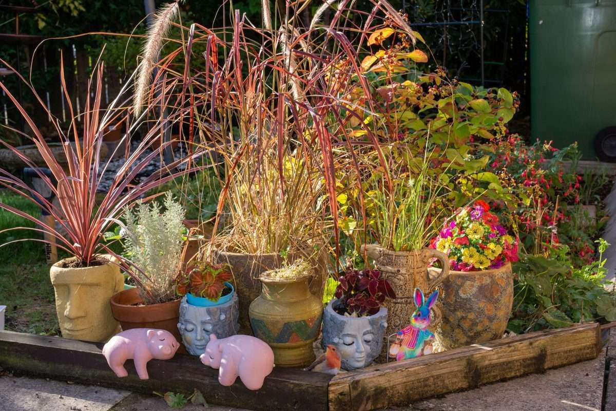 In the garden for Sunday Jigsaw.